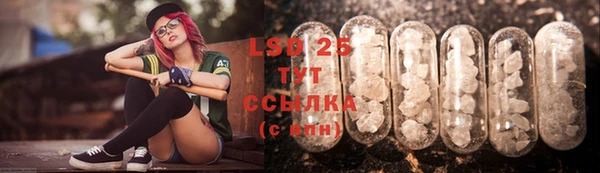гидра Новозыбков