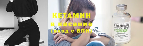 гидра Новозыбков