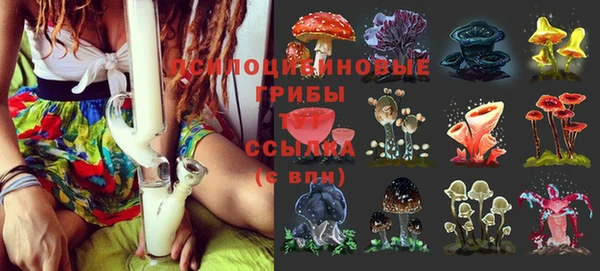 амфетамин Новодвинск