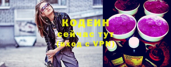 гидра Новозыбков
