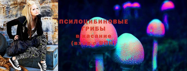 гидра Новозыбков