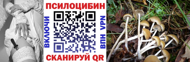 цены   Нахабино  Псилоцибиновые грибы прущие грибы 